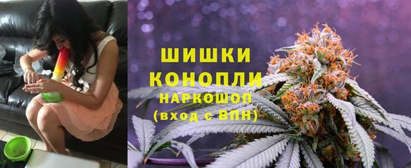 твердый Алзамай